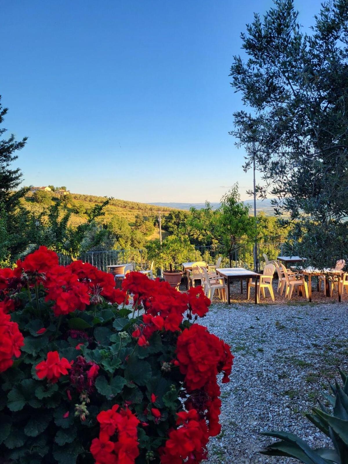 Agriturismo La Gioconda Vinci Eksteriør bilde