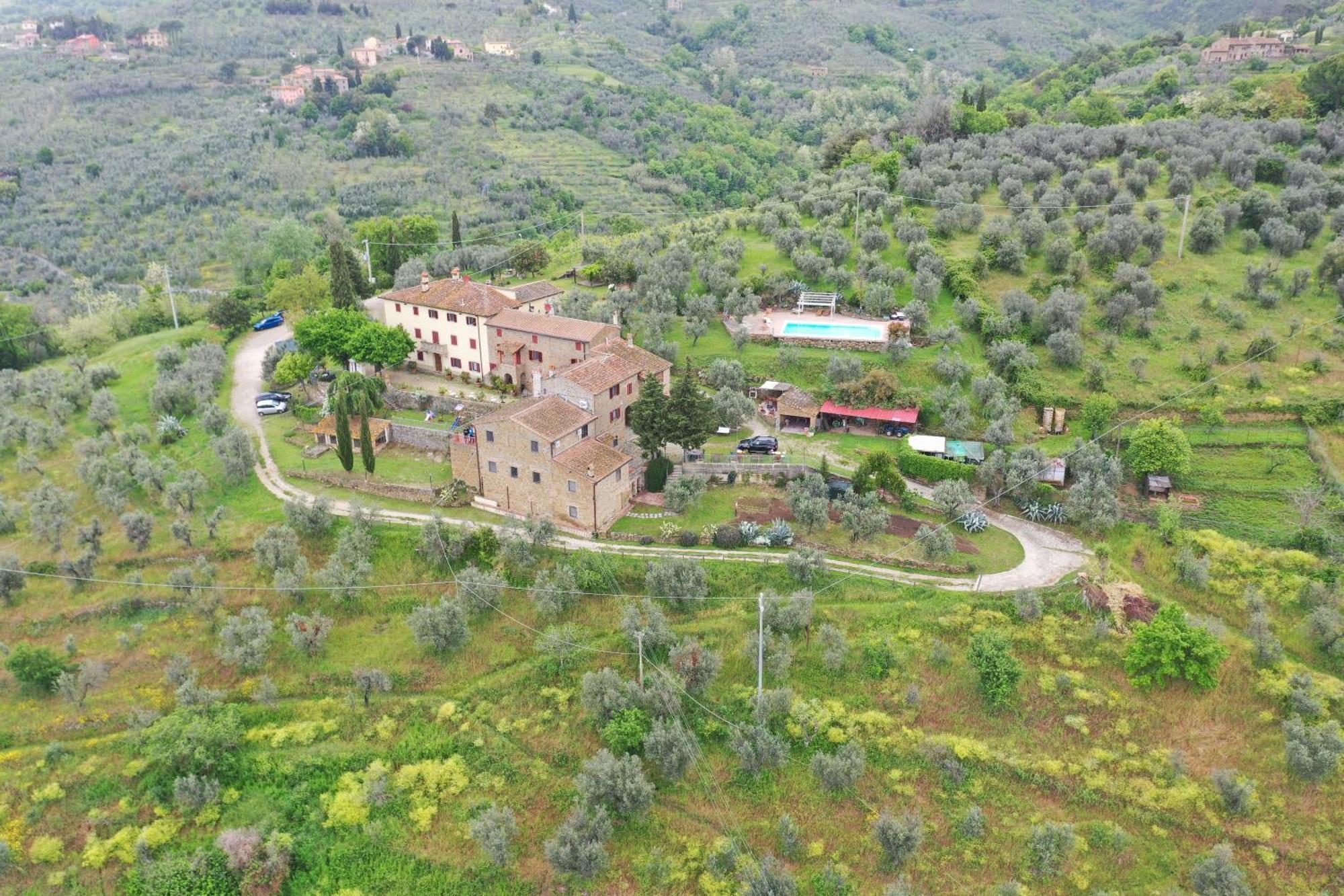 Agriturismo La Gioconda Vinci Eksteriør bilde
